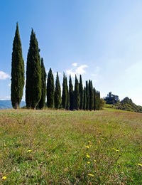 Xtrallusion offers independent self-guided Walking, Adventure, Activity, Skiing and Paragliding Holiday itineraries on the Italian Rivieras, in the Italian Lakes, in the Italian Alps and in some of the most beautiful corners of Italy.